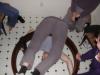 dscn9351.jpg