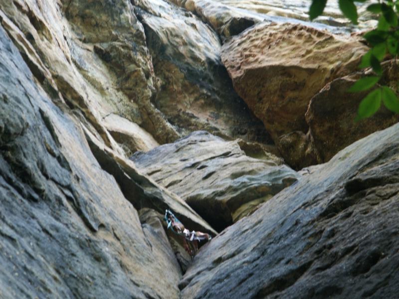 pict2325.jpg