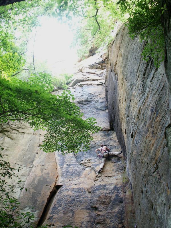 pict2333.jpg