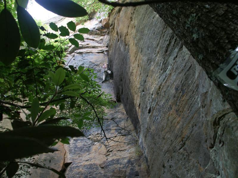 pict2336.jpg