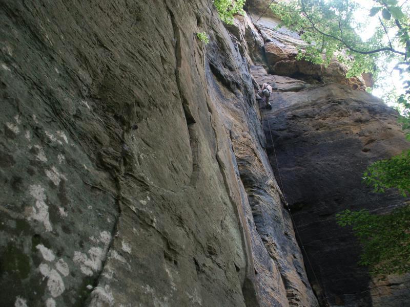 pict2338.jpg