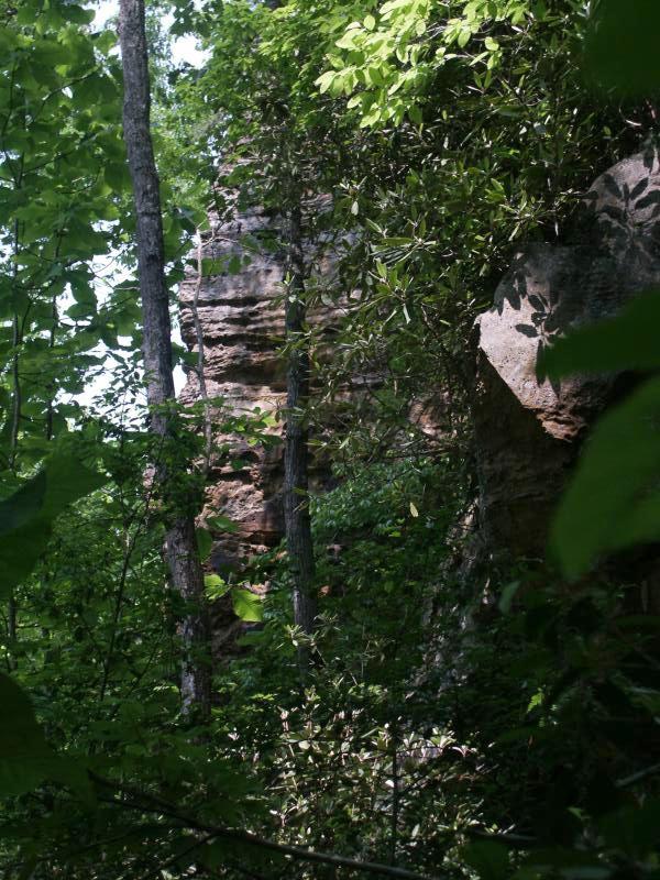 pict2350.jpg