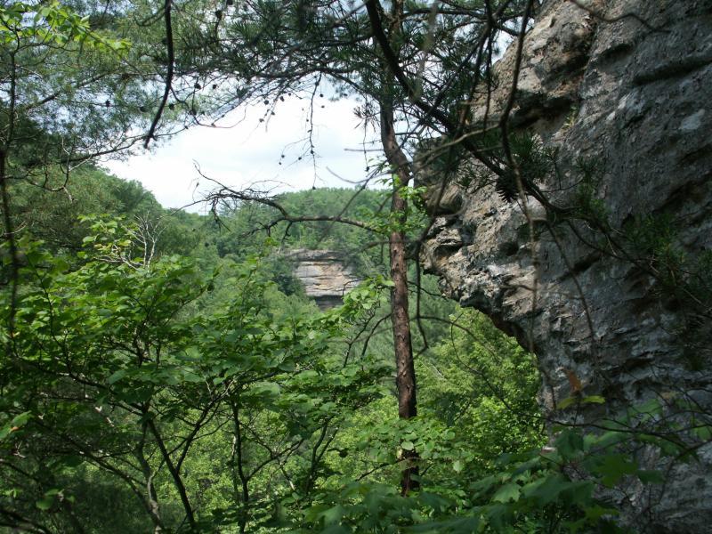 pict2351.jpg