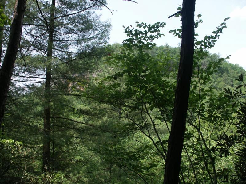 pict2352.jpg