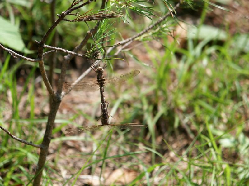 pict2354.jpg