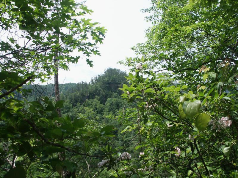 pict2360.jpg