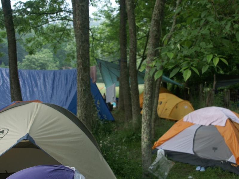 pict2388.jpg