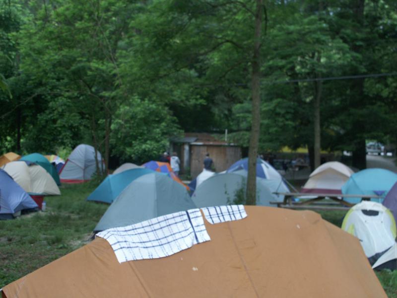 pict2390.jpg