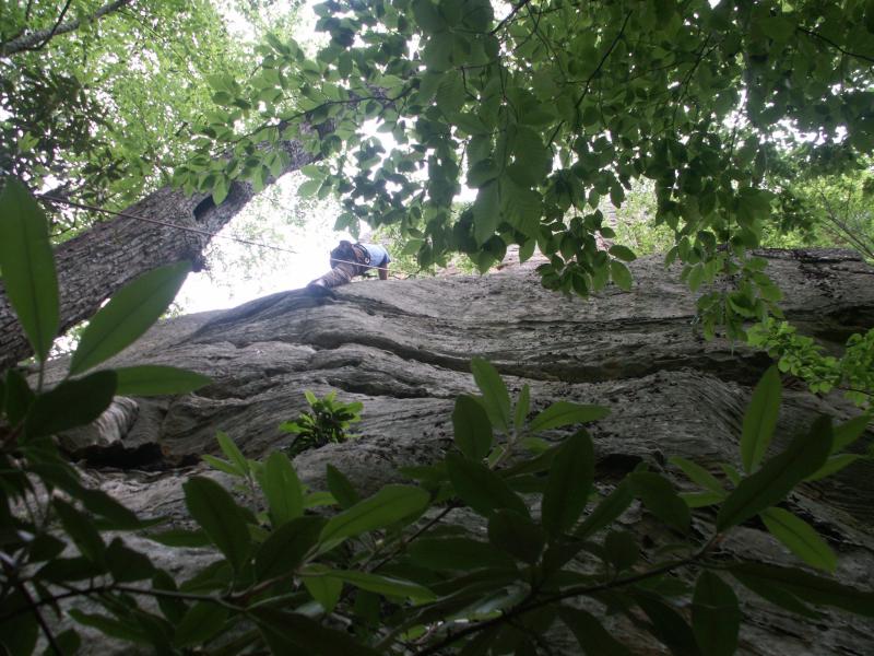 pict2408.jpg