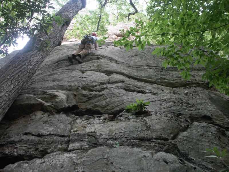 pict2419.jpg
