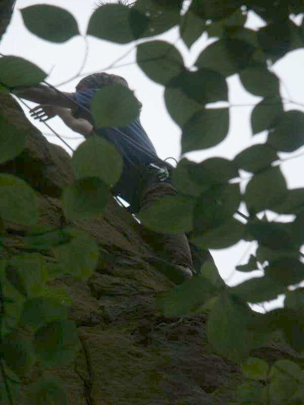 pict2442.jpg