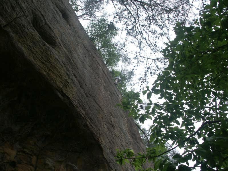 pict2460.jpg