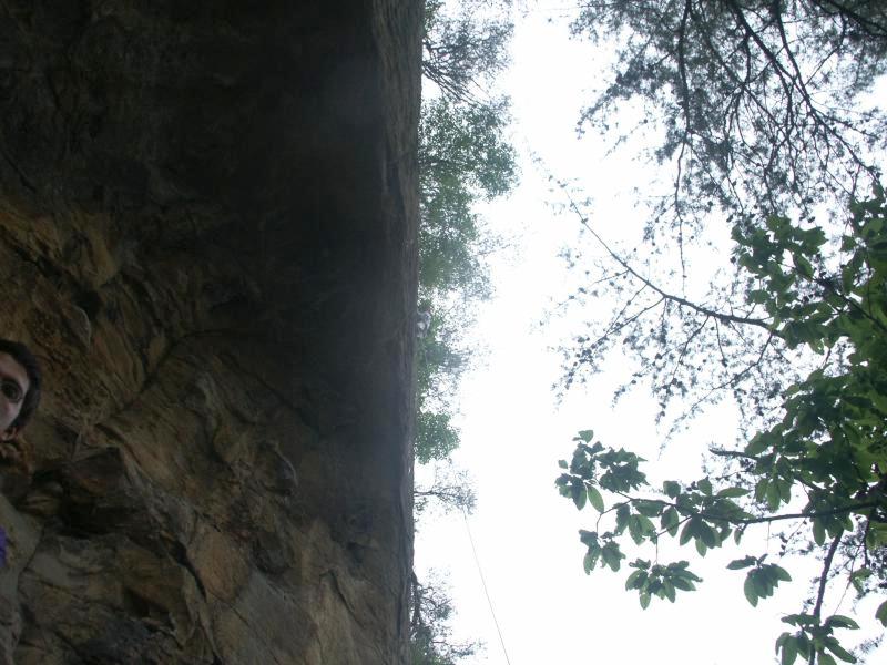 pict2461.jpg
