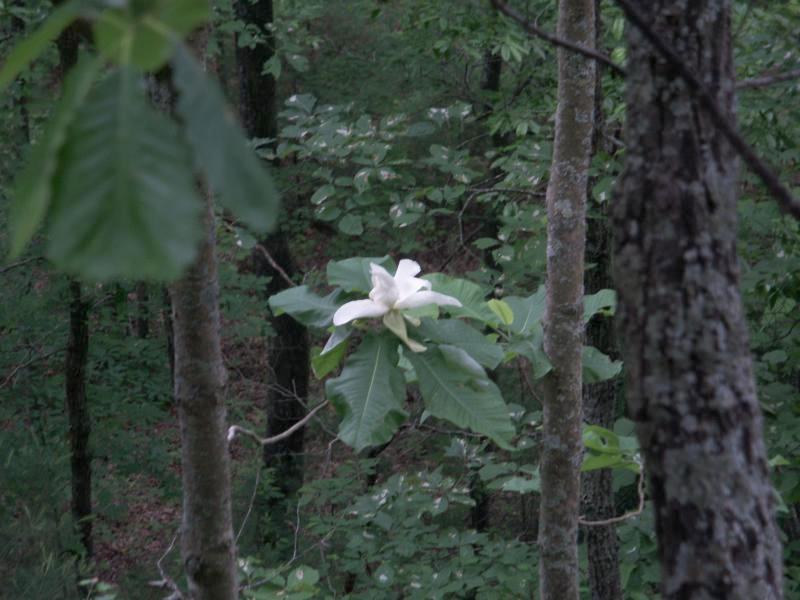 pict2476.jpg