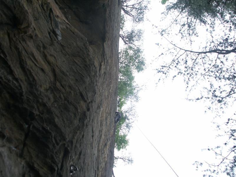 pict2479.jpg