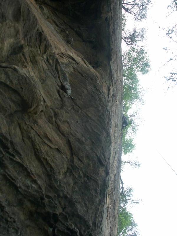 pict2481.jpg