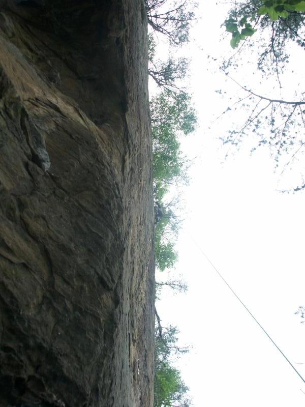 pict2482.jpg
