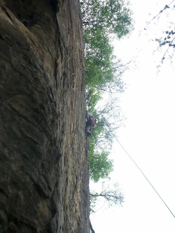 pict2501.jpg