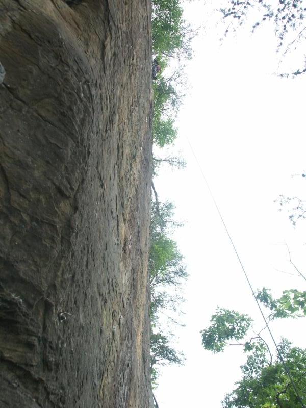 pict2509.jpg