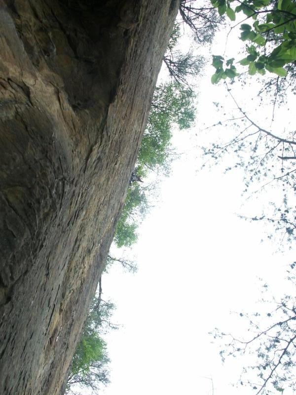 pict2510.jpg