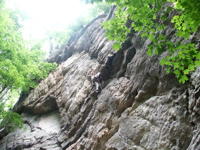 pict2535.jpg