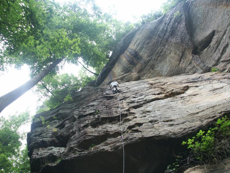pict2544.jpg