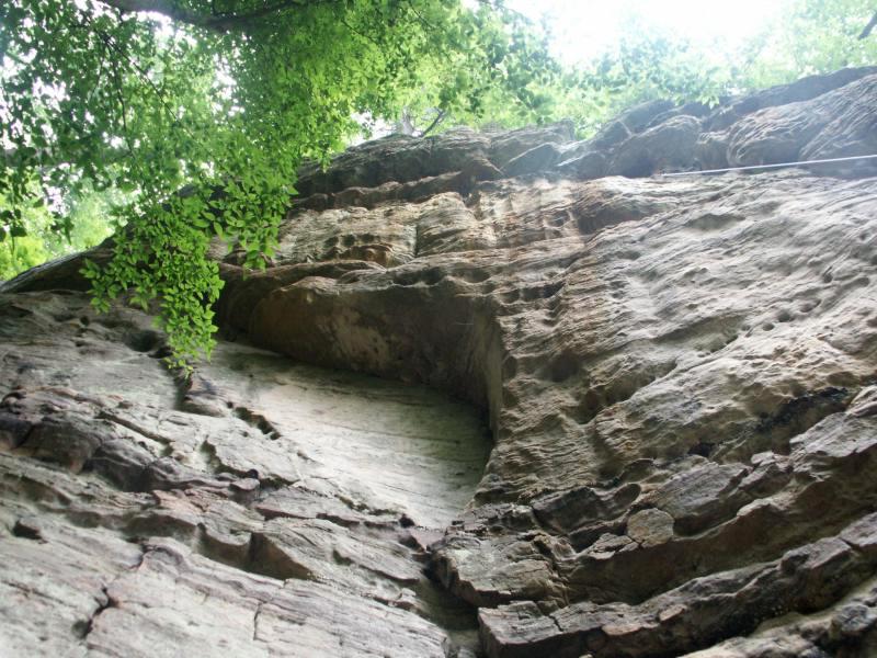pict2547.jpg