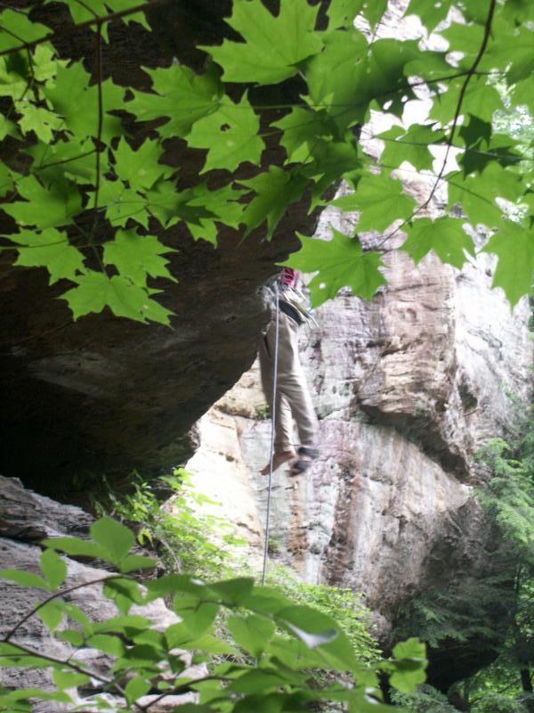 pict2559.jpg