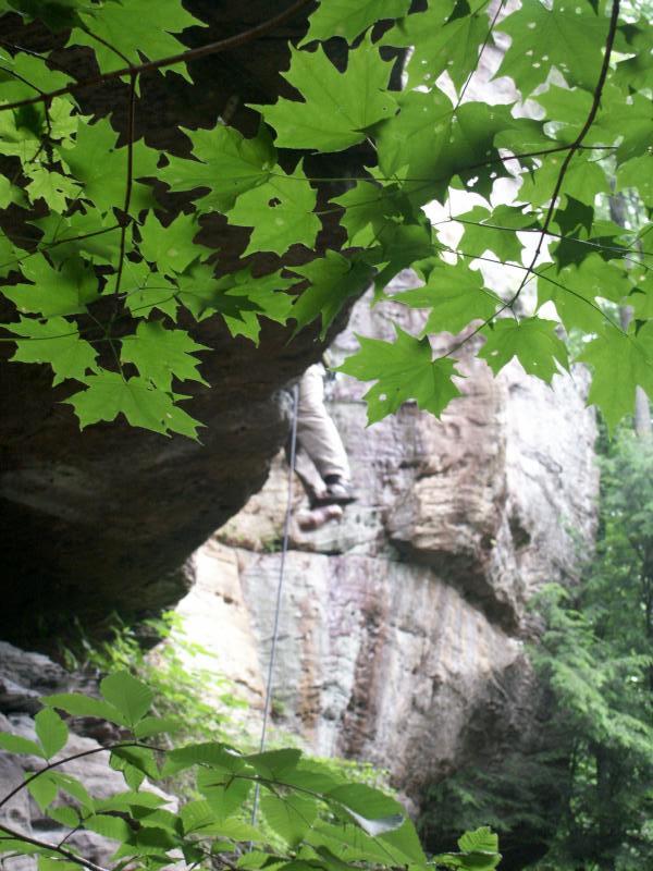 pict2560.jpg