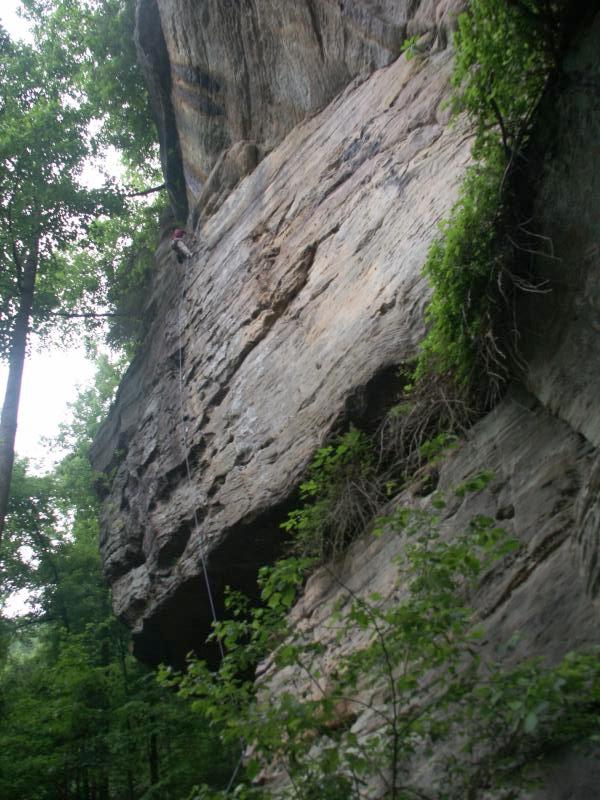 pict2569.jpg