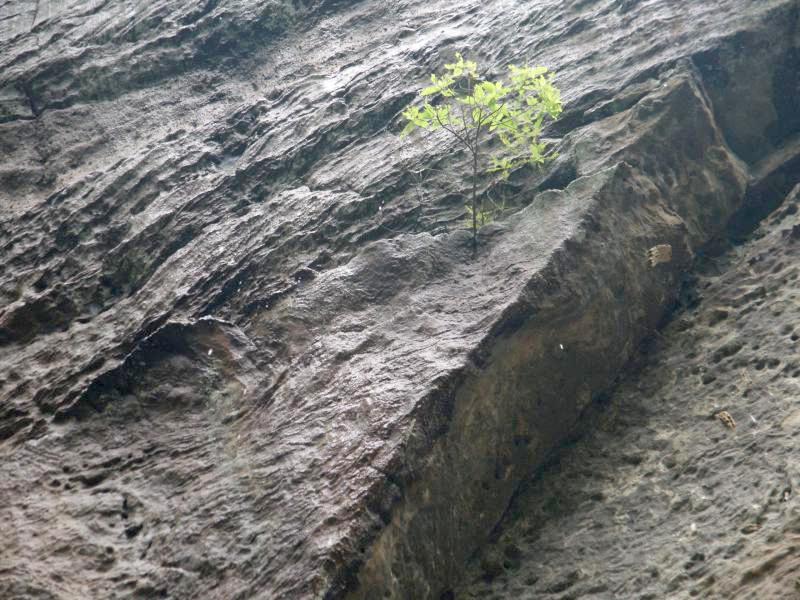 pict2571.jpg