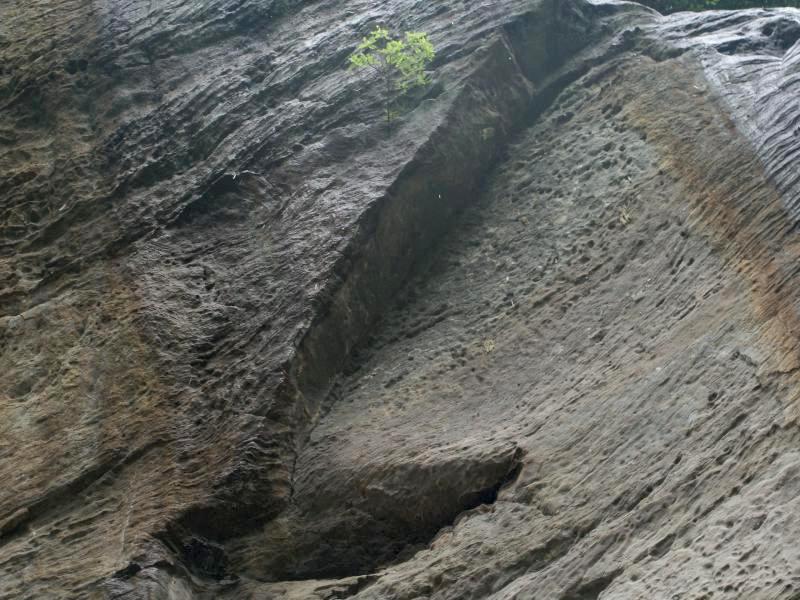 pict2572.jpg