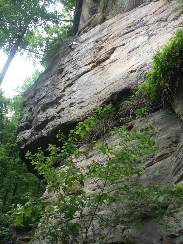 pict2595.jpg