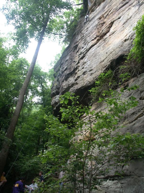 pict2596.jpg