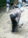 pict2607.jpg