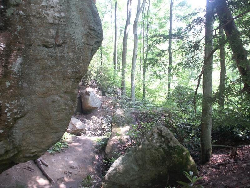 pict2663.jpg