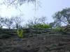 dsc00019.jpg