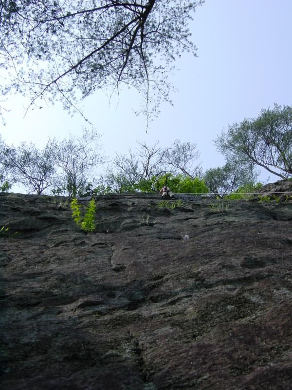 dsc00019.jpg