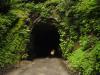 dsc00080.jpg