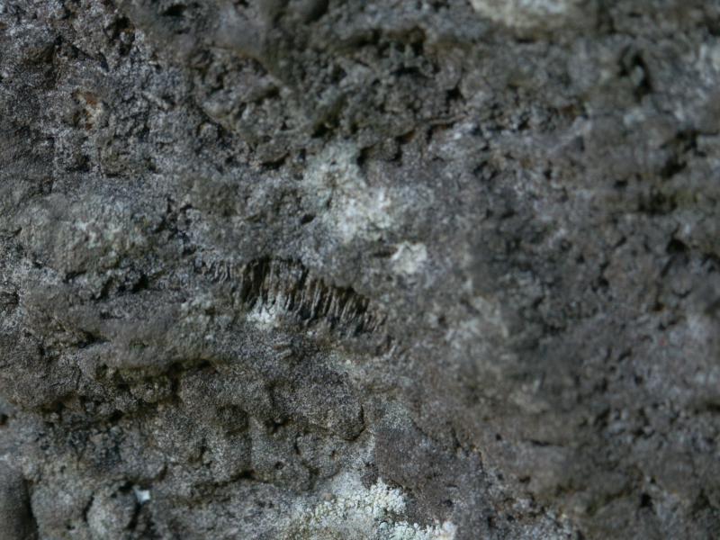 Rock