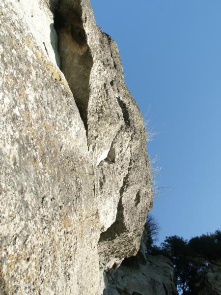 Looking up @ the Ivory Tower