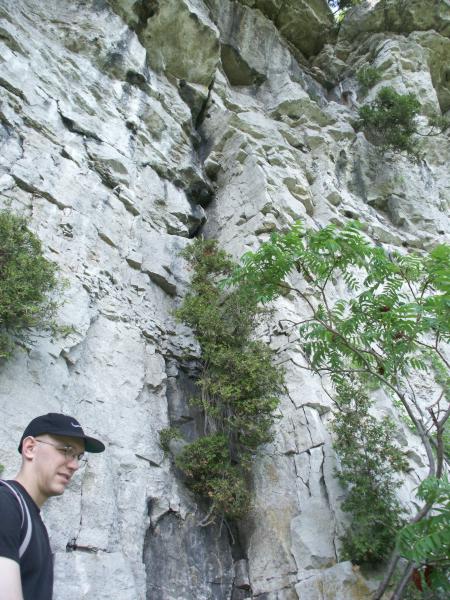Dufte (Hint of Chaz)