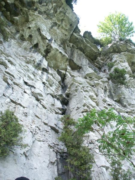 Dufte