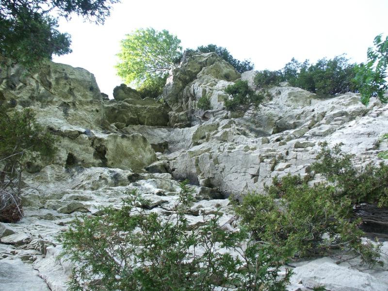 Dufte