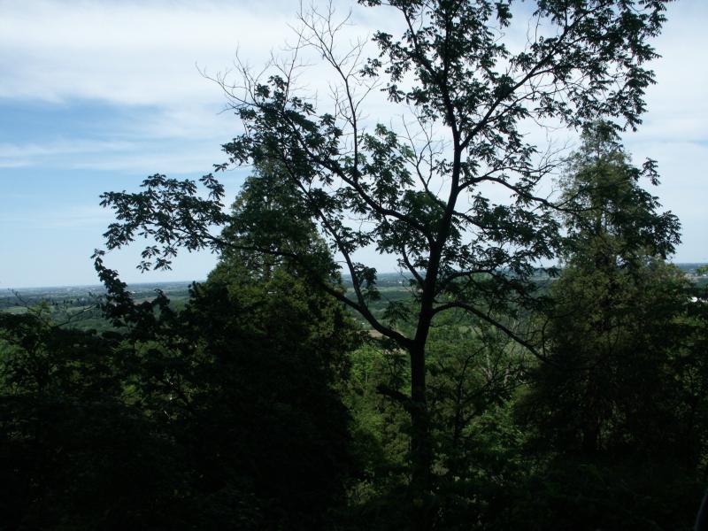 Panorama at base of Dufte