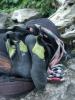 Shoes, harness and biners