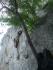 pict3398.jpg