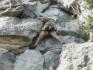 Rattlesnake Point