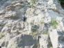 Rattlesnake Point