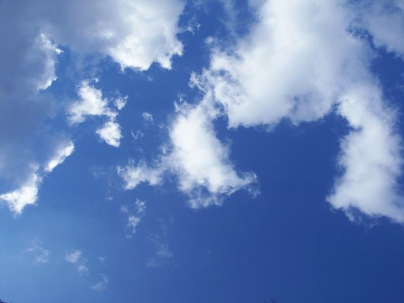 Just sky